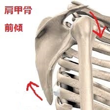 お役立ち情報「肩関節周囲炎（五十肩）の痛みと可動制限について」 - 理学療法士スタジオサロンBE FIT